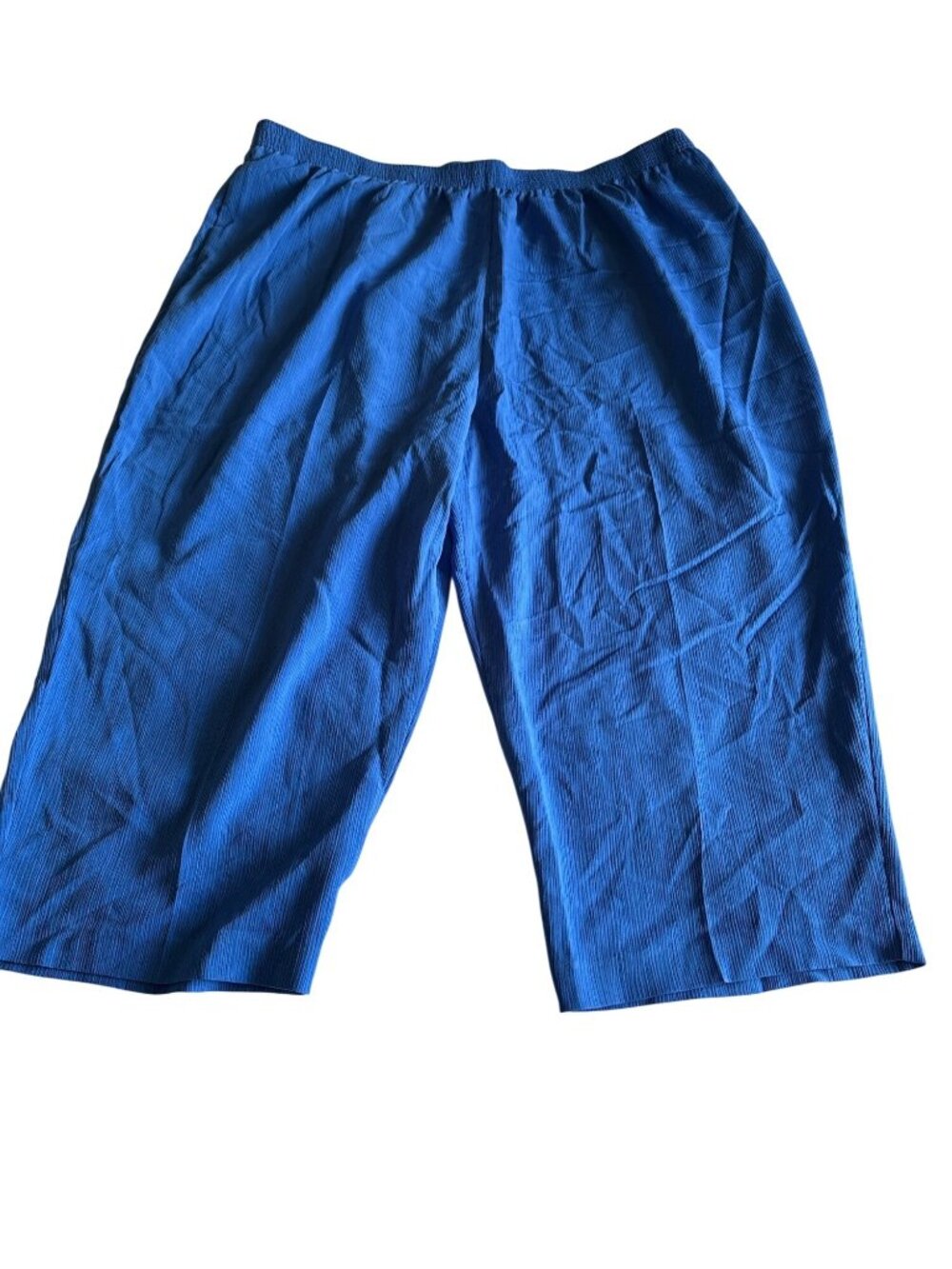 Allison Daley Womens Blue Pull-On Pants Size 20W Elastic Waist 100% Polyester